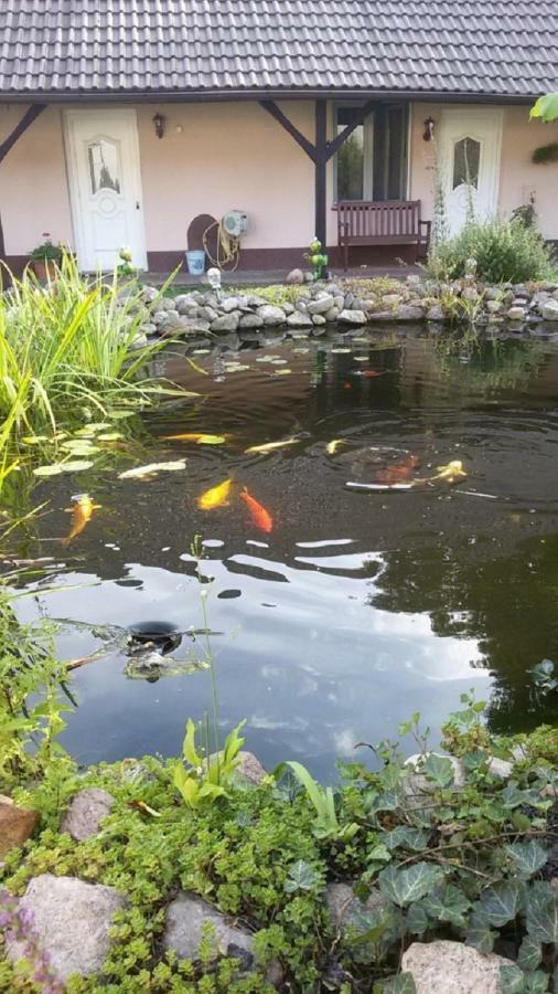 ベースコウStorchennest An Der Spree In Radinkendorfアパートメント エクステリア 写真