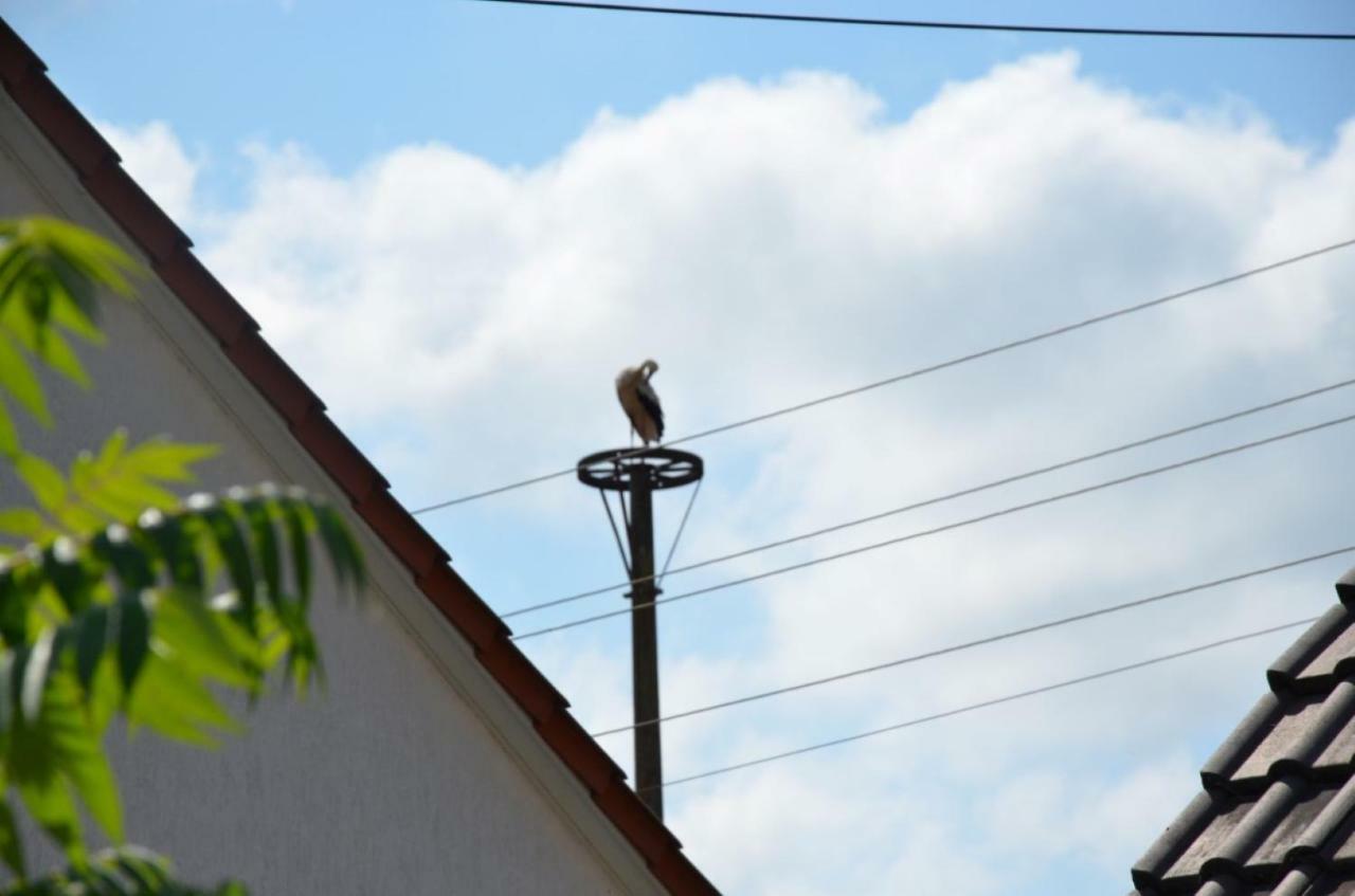ベースコウStorchennest An Der Spree In Radinkendorfアパートメント エクステリア 写真